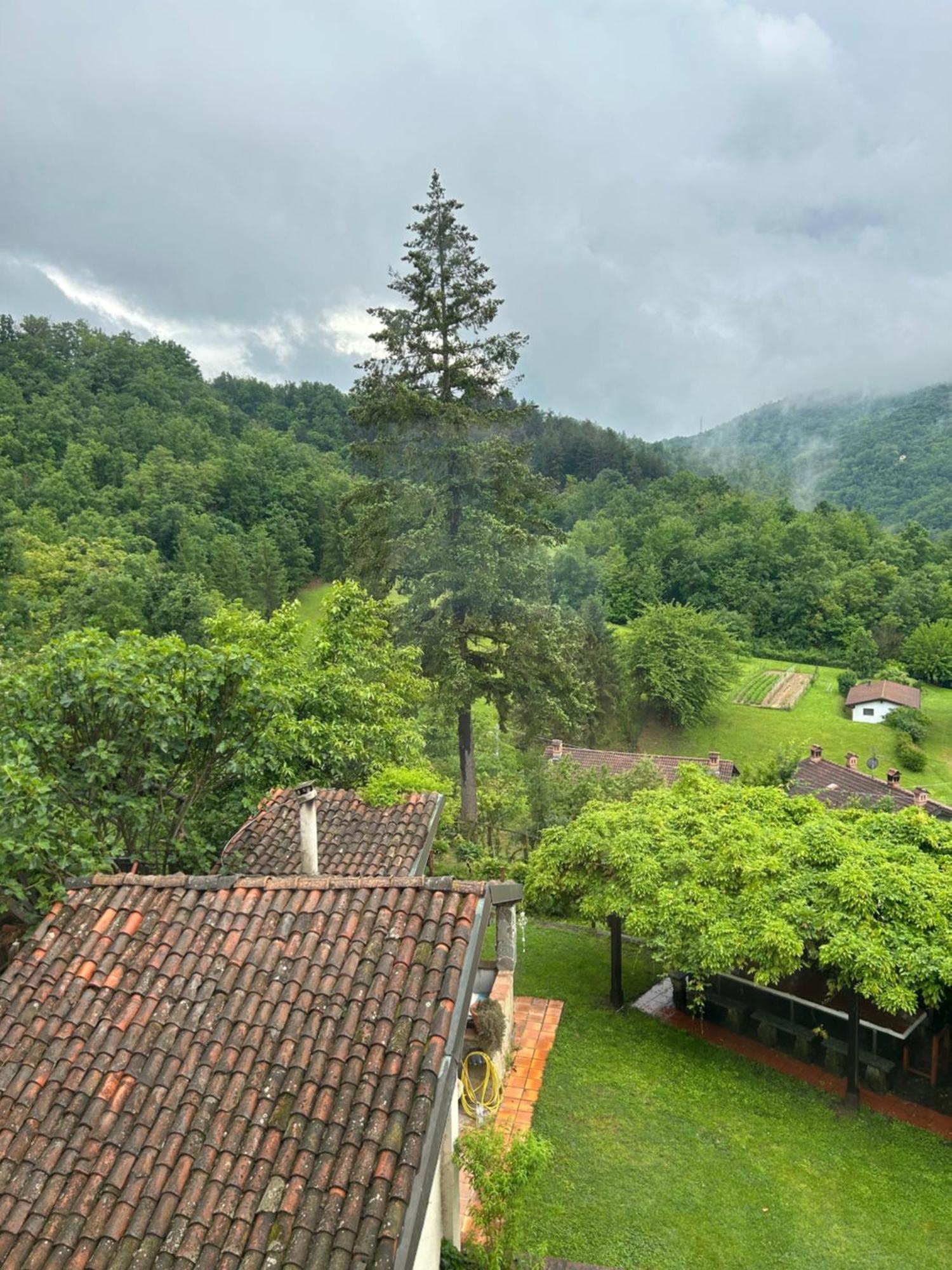 Cascina Ciosse B&B Grognardo エクステリア 写真