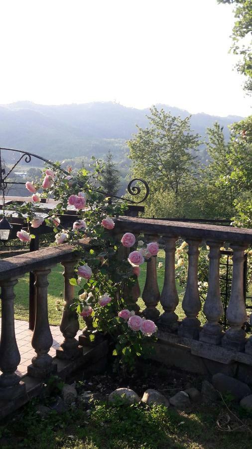 Cascina Ciosse B&B Grognardo エクステリア 写真